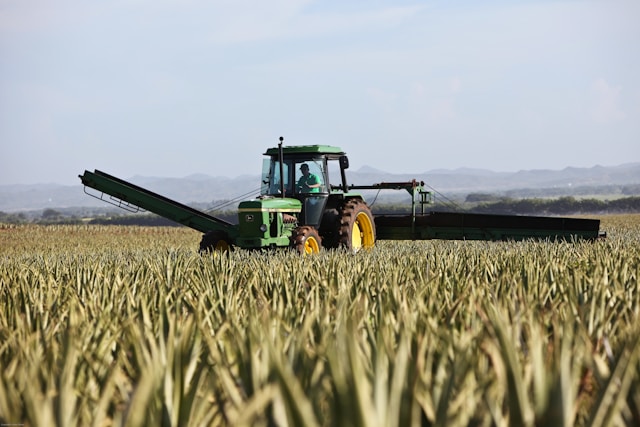 Tractor and Farm Sounds