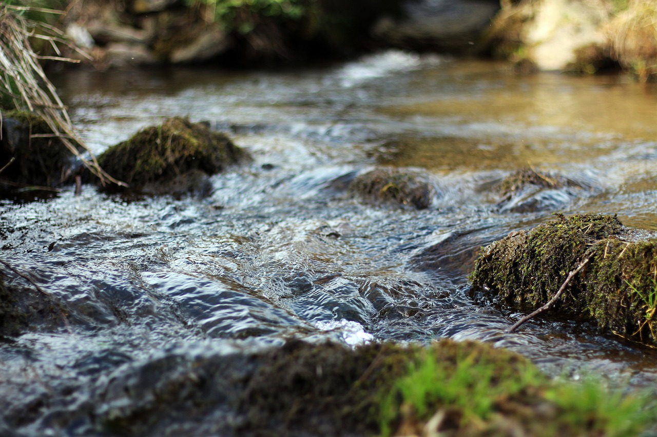 Small River