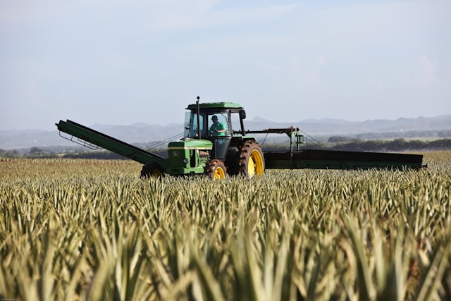 Tracteur à la Ferme