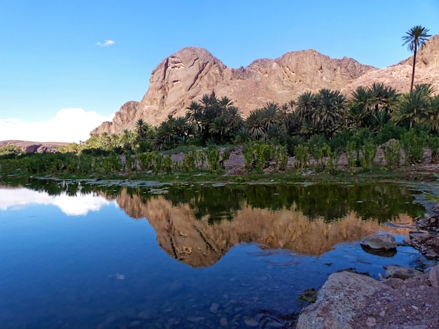 Oasis du Calme