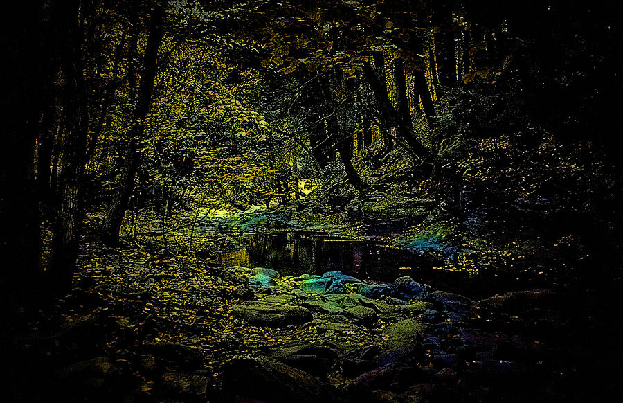 Étang Nocturne